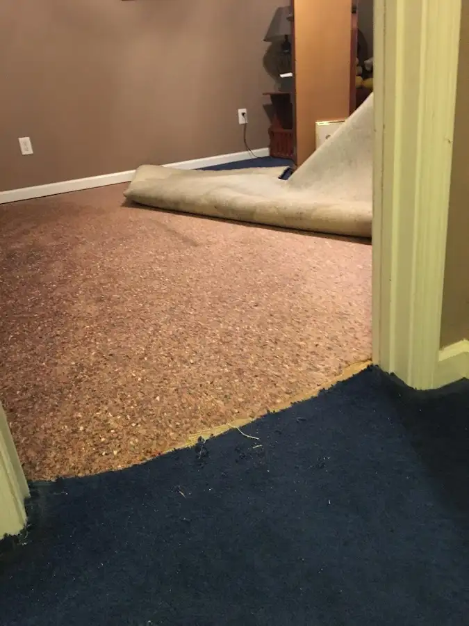 Carpet pad removal revealing water damage during Drying & Dehumidification in Freeport