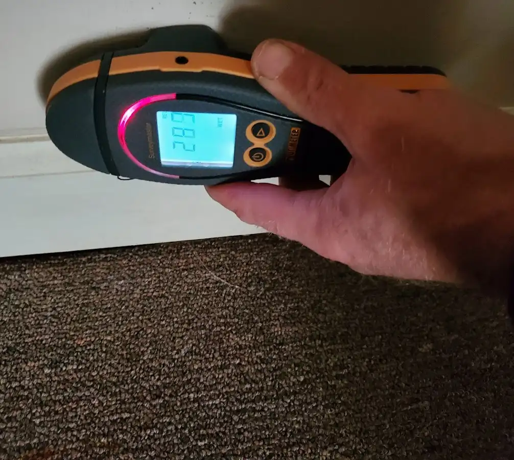 Moisture detection at baseboard during Mold Inspection & Testing in Freeport